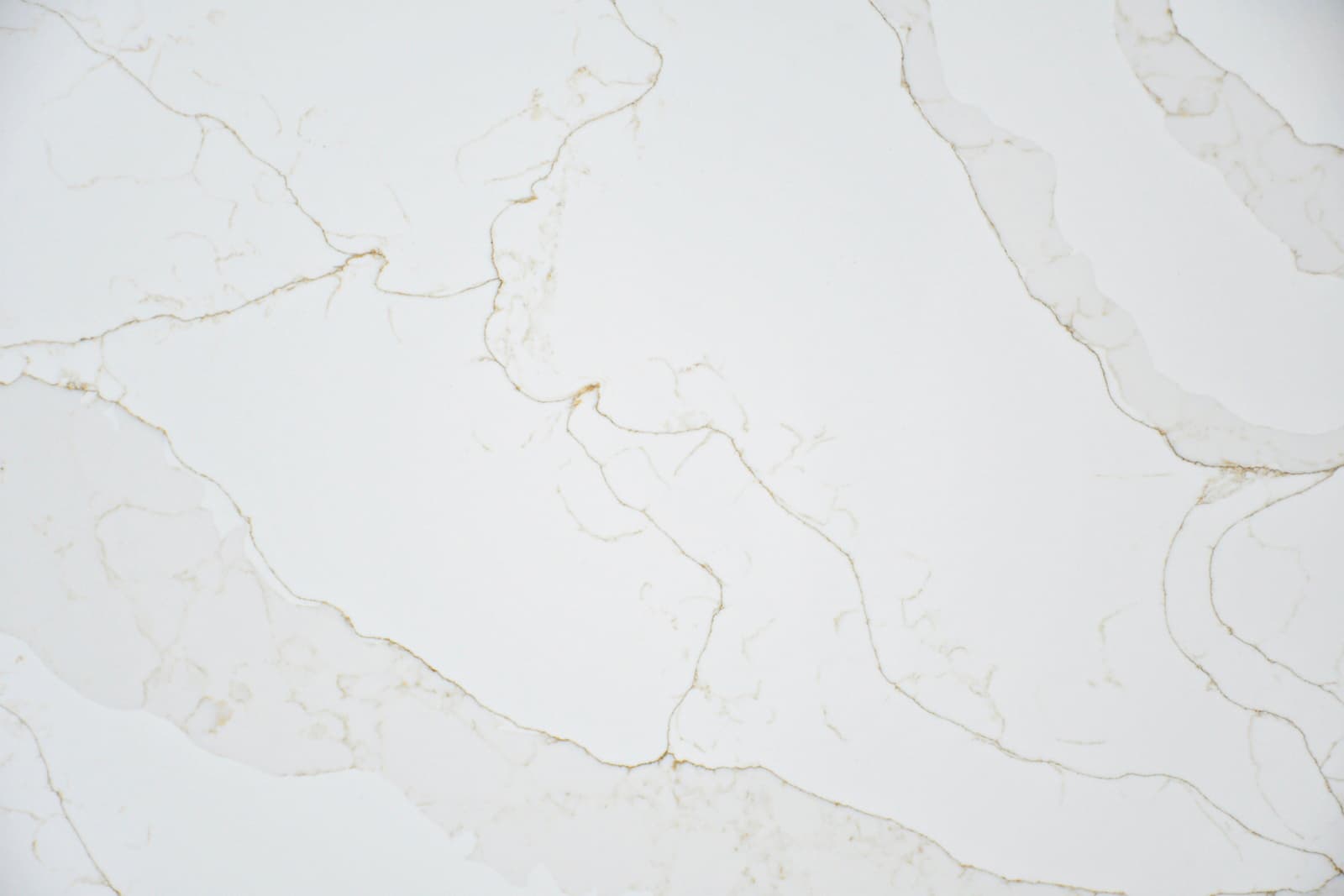 Michealangelo view 1