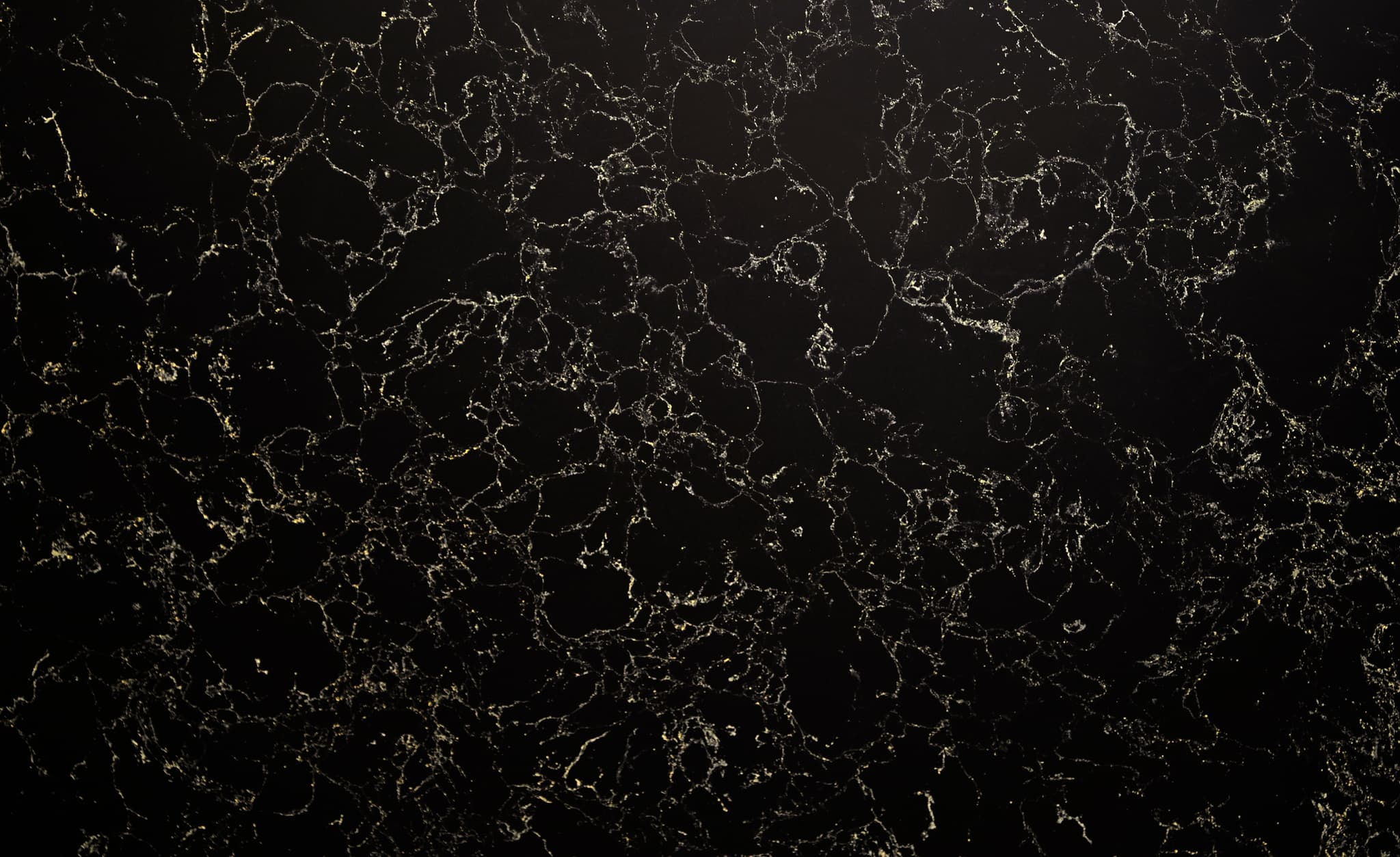 Black Caspian Gold view 1