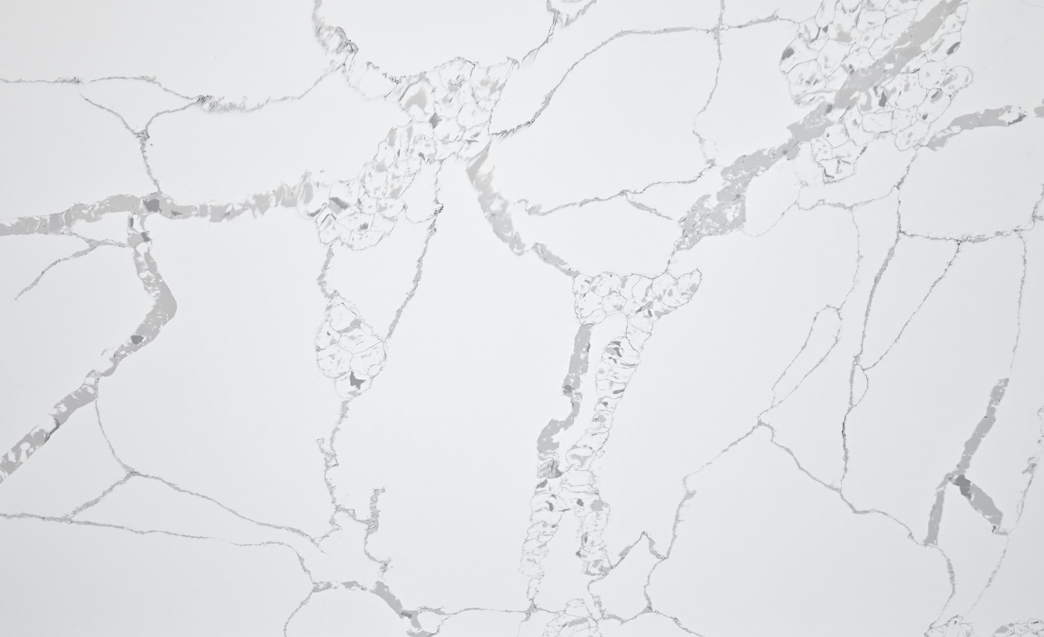 Calacatta Caribou view 1