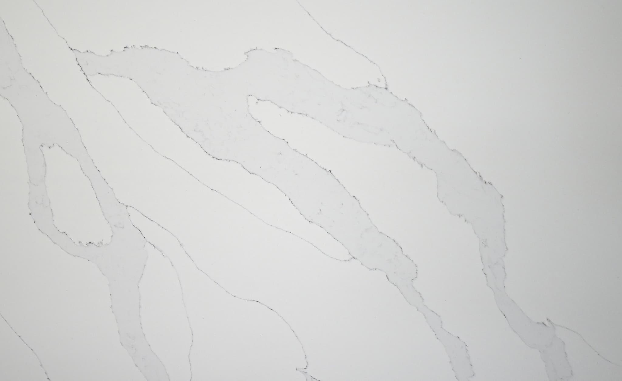 Calacatta Divinity view 1