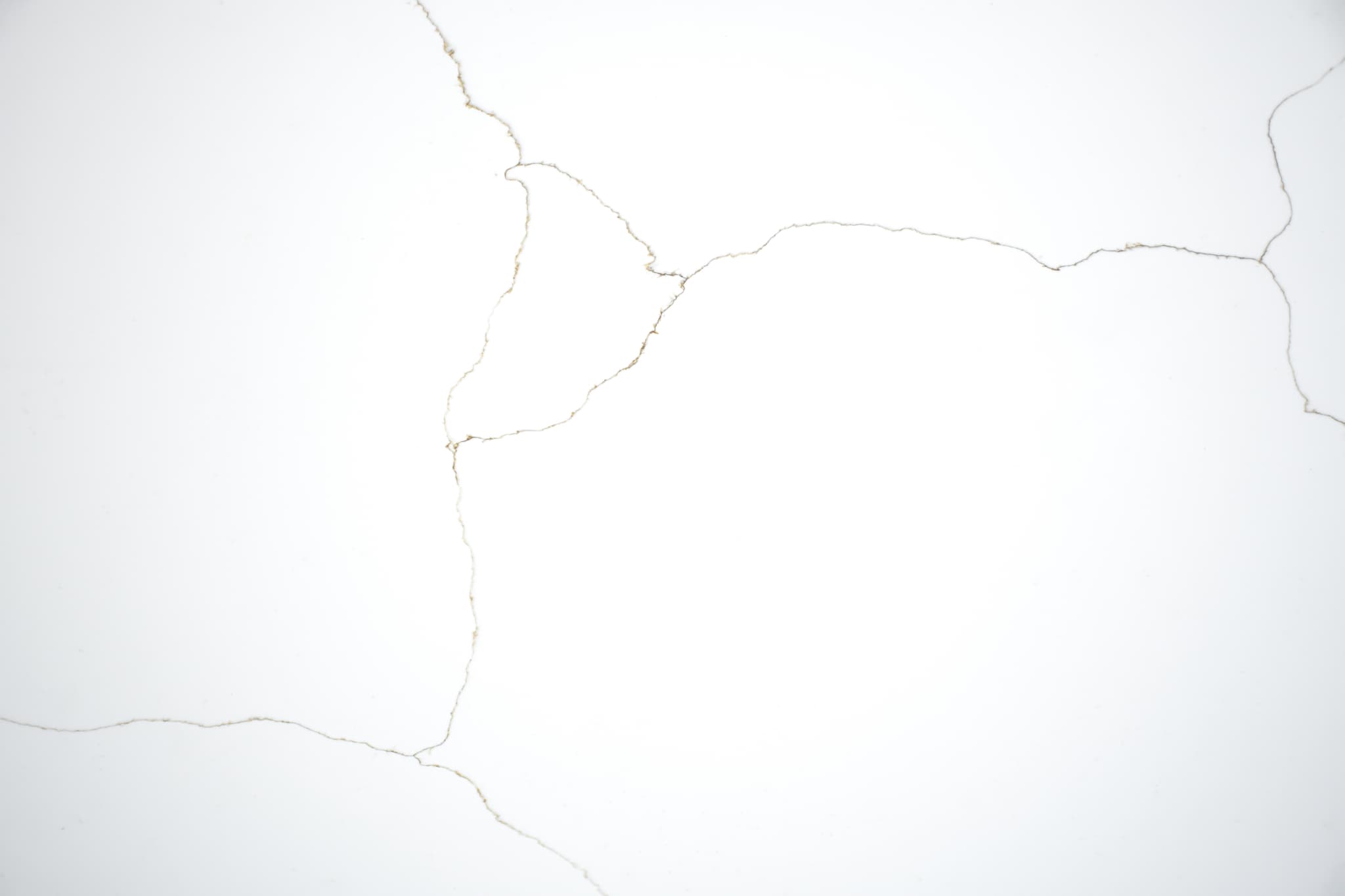 Calacatta Knight Oro view 1