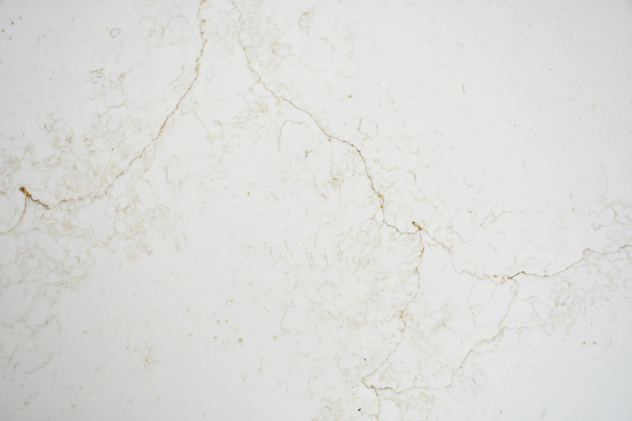 Calacatta Knight Oro BV view 1