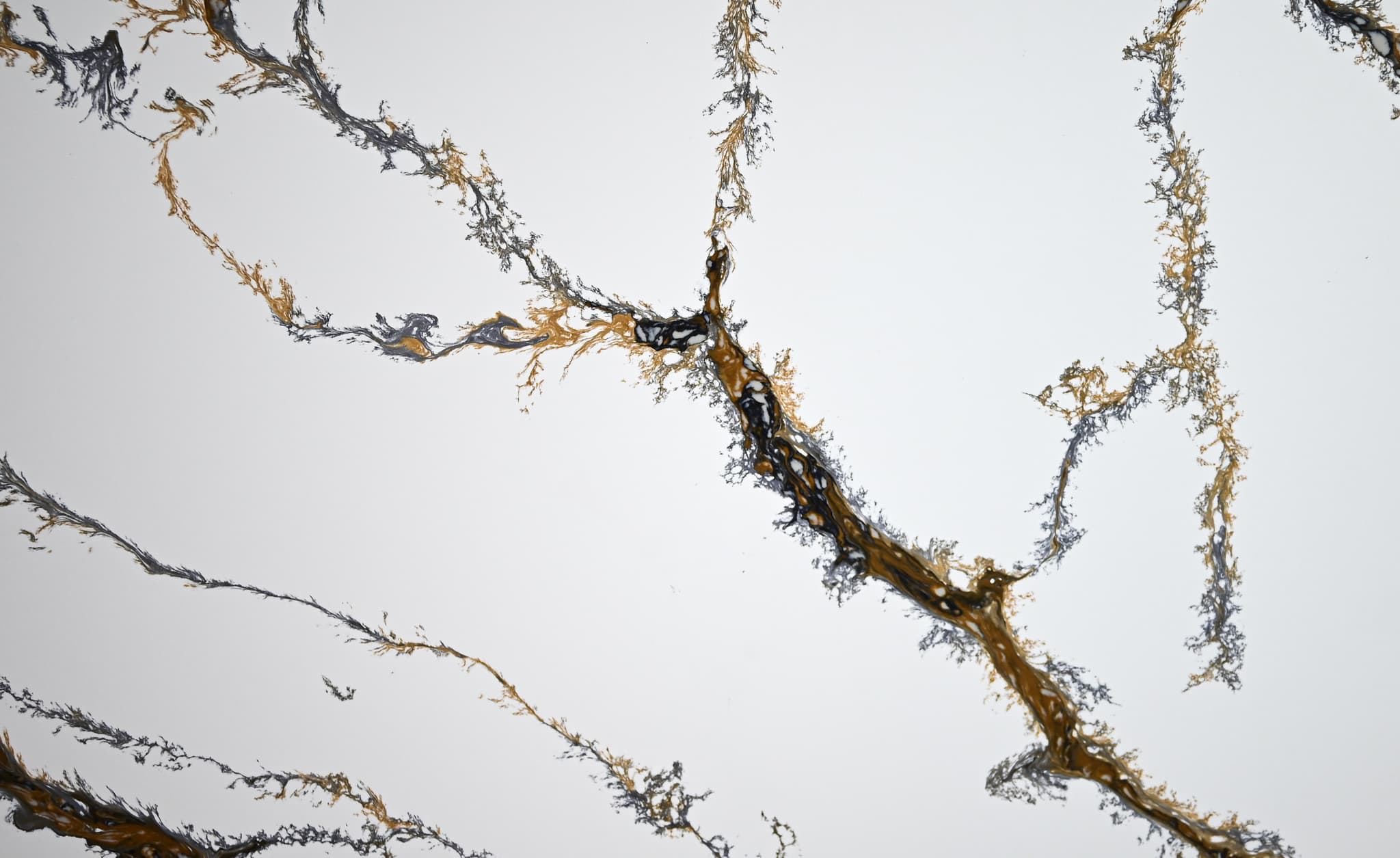 Calacatta Multi view 1