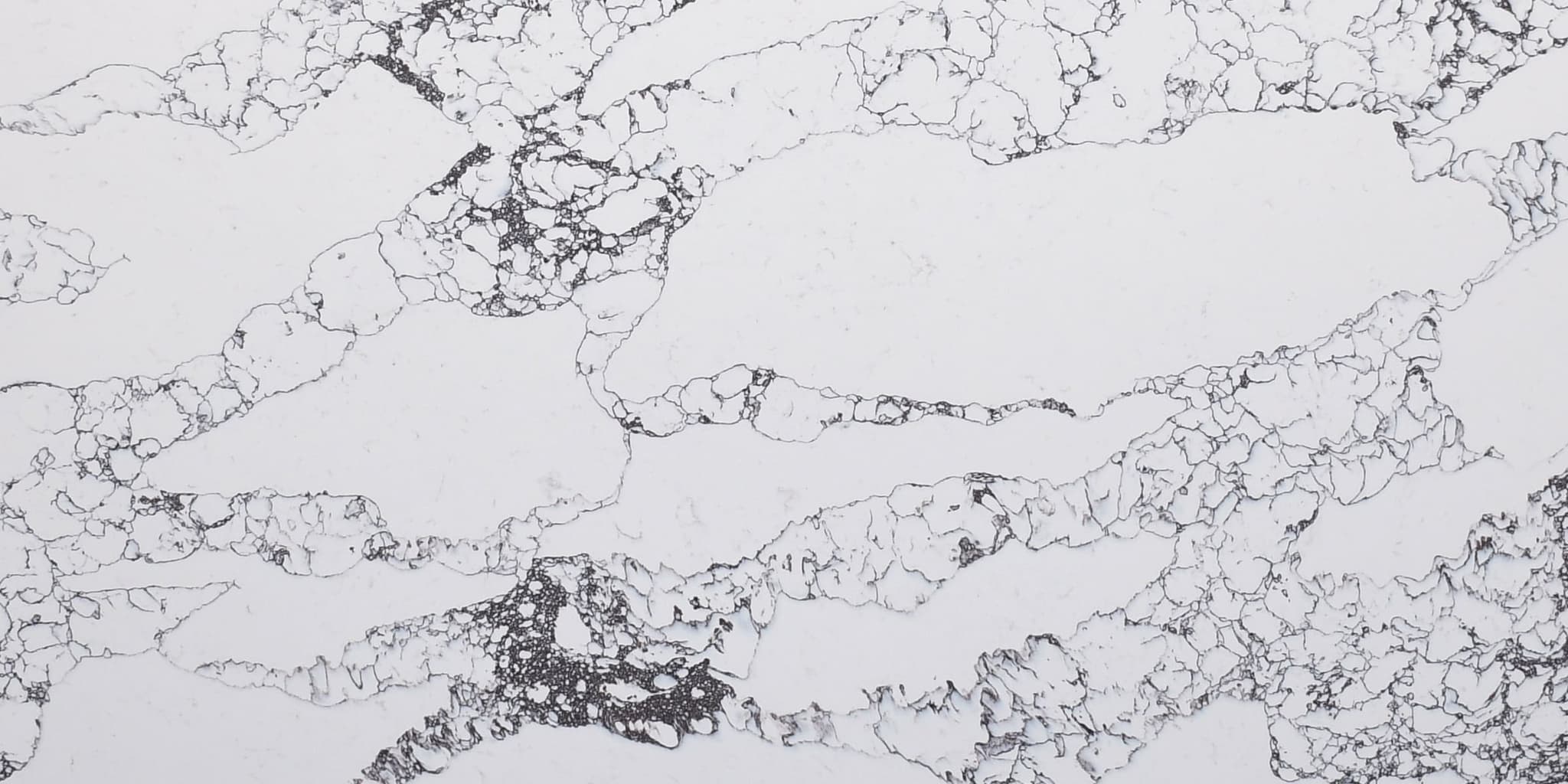 Viola Fantacy view 1